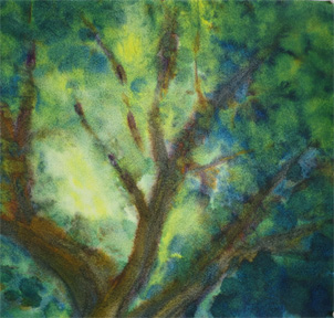 Bild Aktuell Apr26 Mitte: Baumkrone