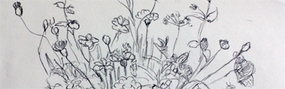 Bild Linien in der Natur Juni 19 Blumen