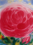 Bild Zeit zum Malen Mitte Jun25 : Rote Pfingst-Rose